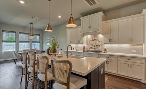 House in Spring, Texas, United States 1
