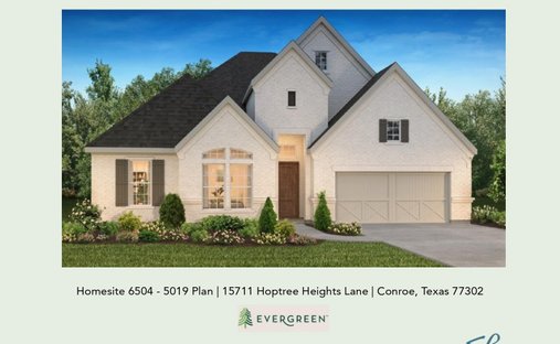 House in Conroe, Texas, United States 1