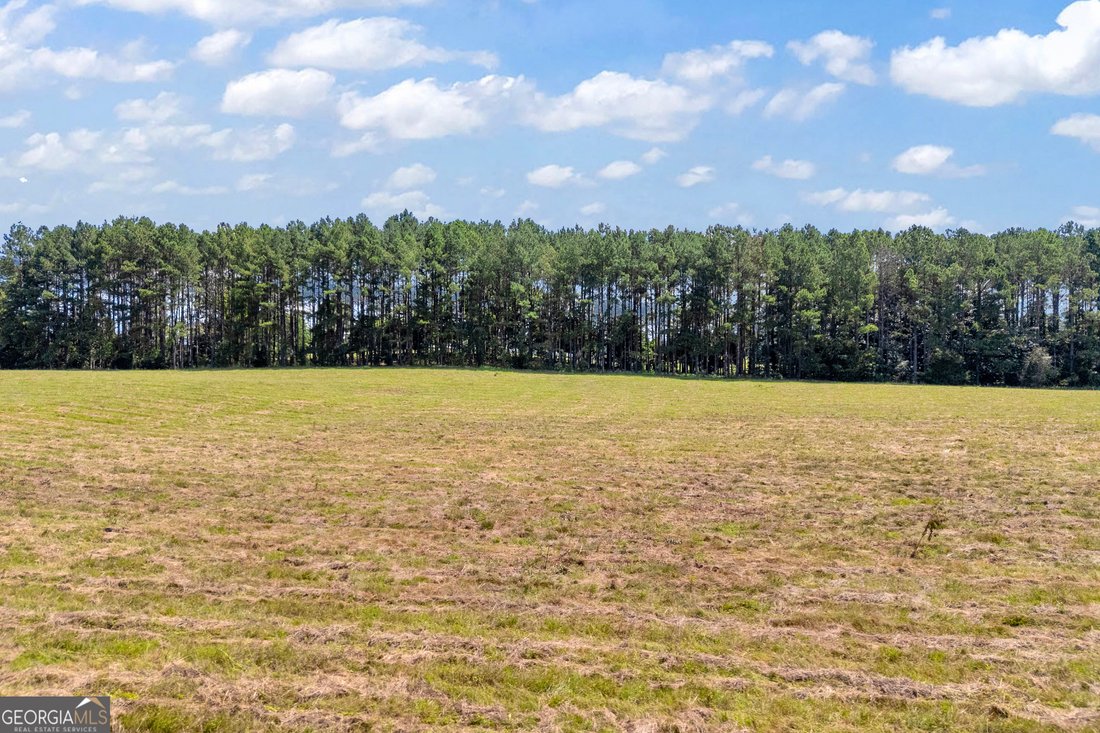 Farm Ranch in Washington, Georgia, United States 2 - 17825090