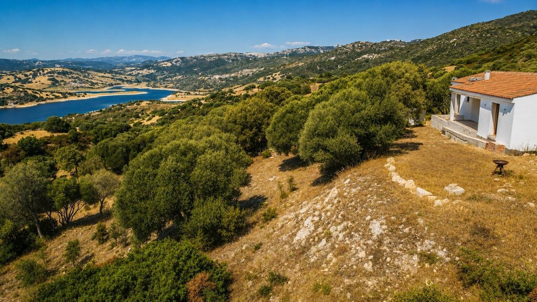 Villa à Luras, Sardaigne, Italie 5 - 18535942