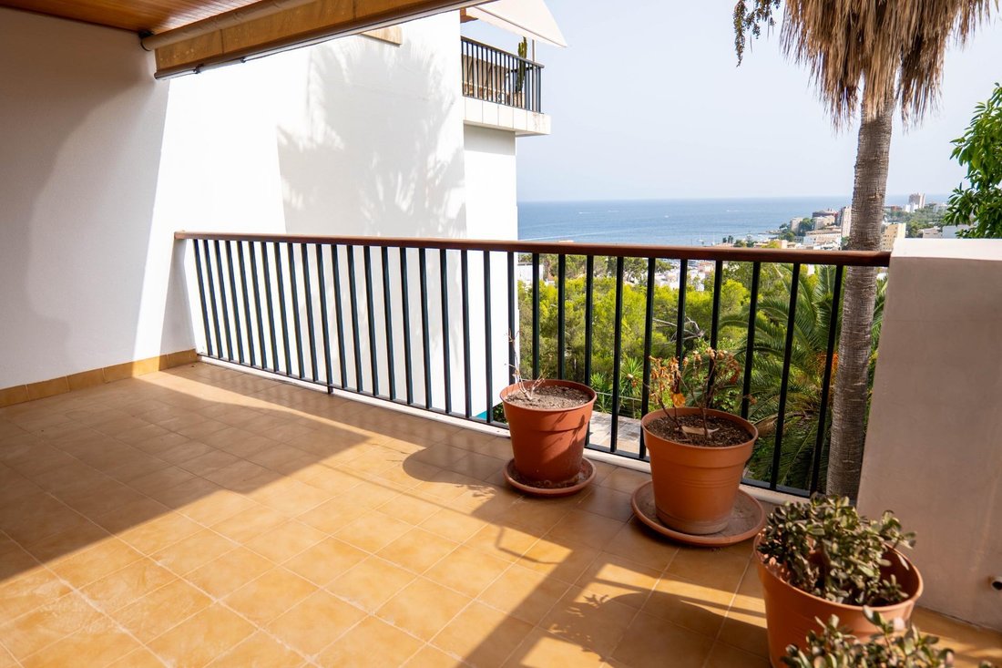 Apartment in Palma, Balearic Islands, Spain 3 - 18535457