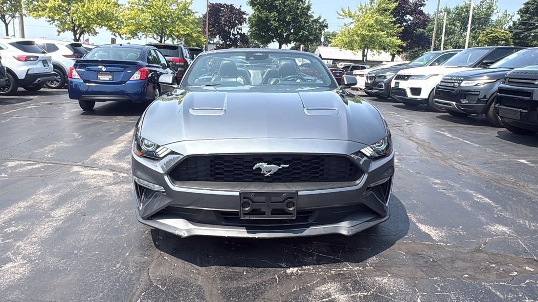 Cabriolet in Milwaukee, WI, United States 3 - 18536580