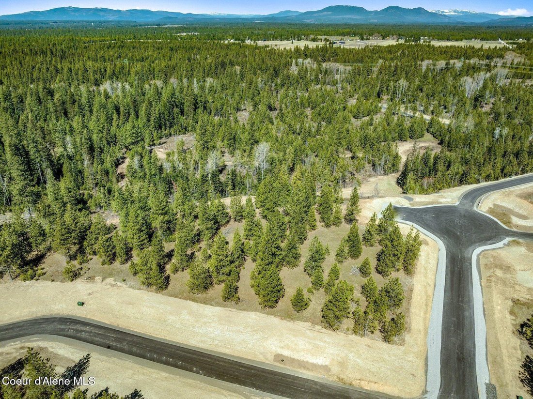 Athol, Idaho, United States 4 - 18535860