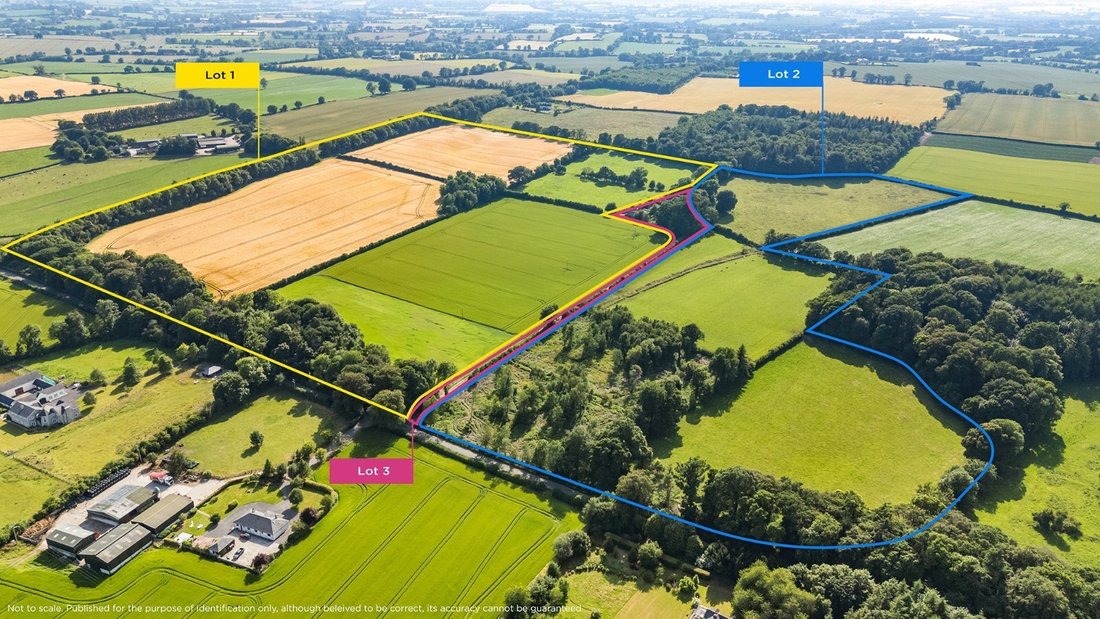 House in Rathvilly, County Carlow, Ireland 1 - 18533065
