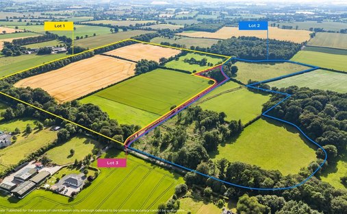 Haus in Rathvilly, County Carlow, Irland 1
