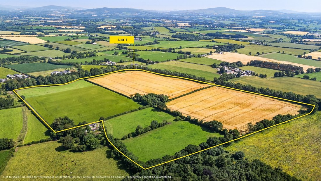 Land in Churchland, County Carlow, Ireland 1 - 18533079