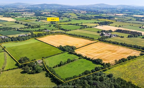 Land in Churchland, County Carlow, Irland 1