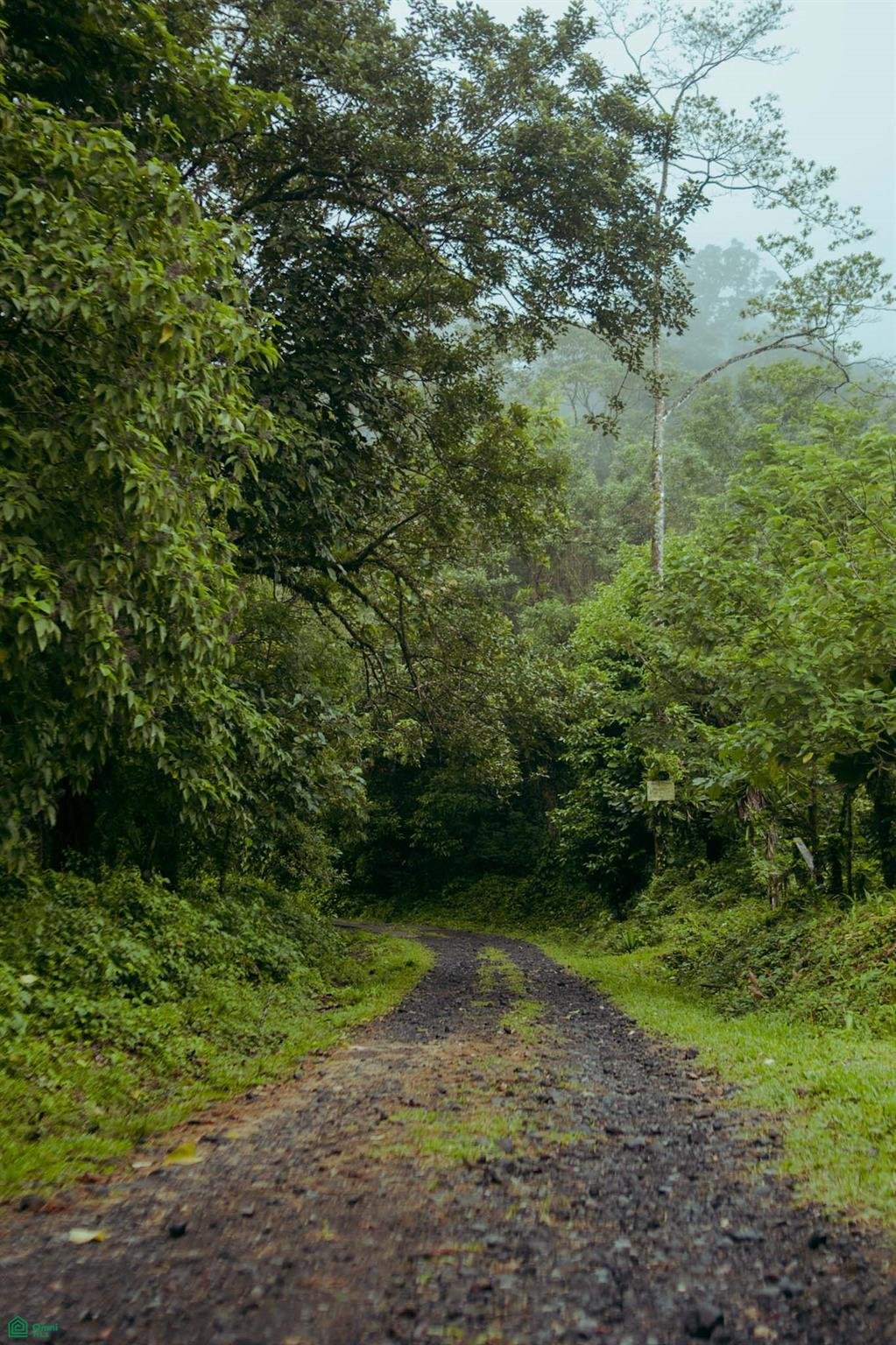 Land in Bijagua de Upala, Alajuela Province, Costa Rica 3 - 18440883