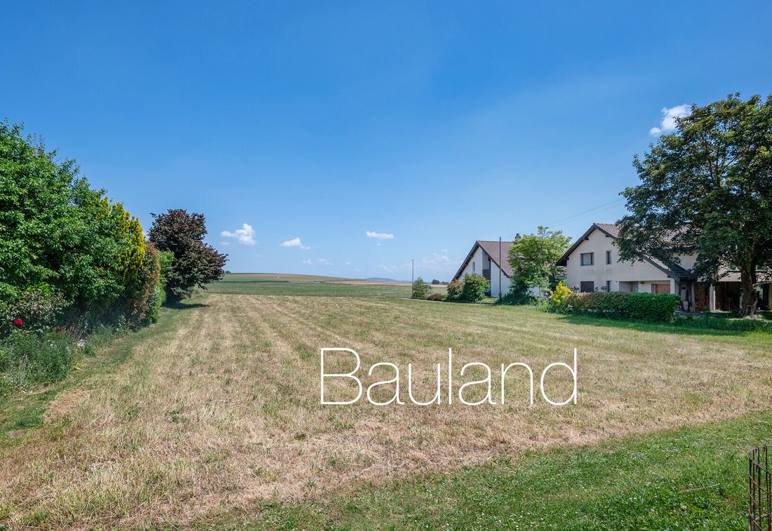 Land in Ins, Canton of Bern, Switzerland 1 - 18533991