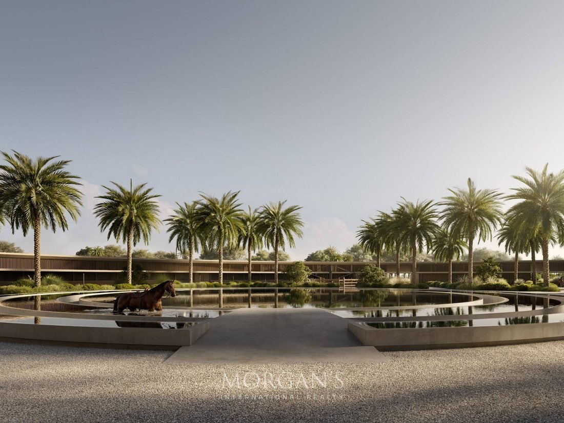 Villa in Green Community, Dubai, United Arab Emirates 5 - 18208642