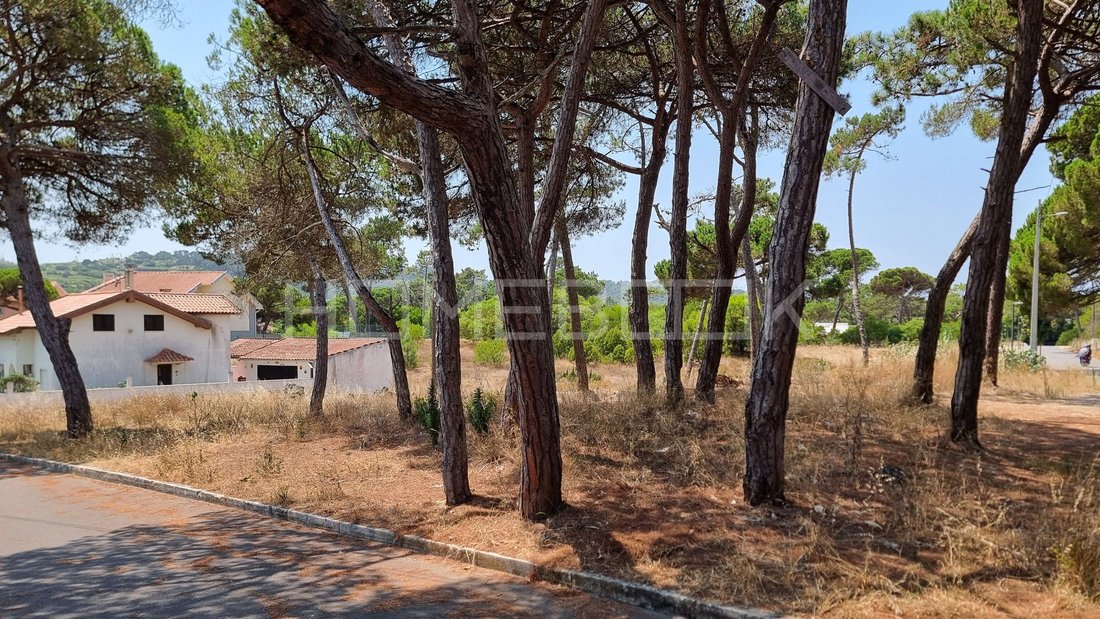 Land in Colares, Lisbon, Portugal 3 - 18536253