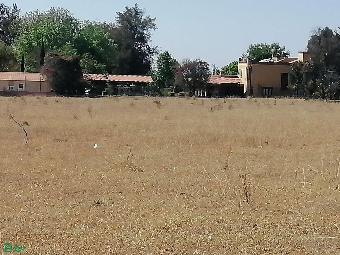 Land in Unión de Guadalupe, Jalisco, Mexico 3 - 18318645