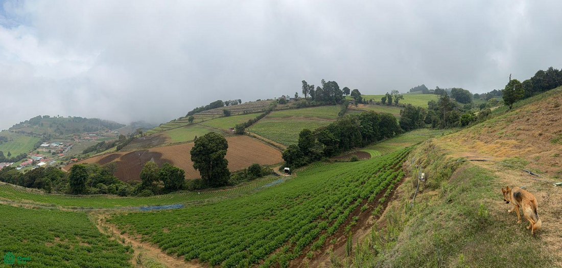 Land in Alfaro Ruiz, Alajuela Province, Costa Rica 3 - 18269560