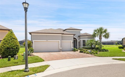 House in Land O' Lakes, Florida, United States 1