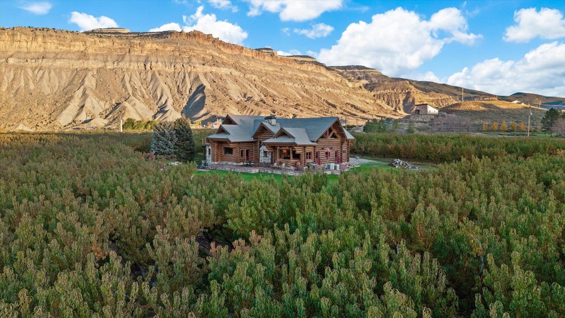 House in Palisade, Colorado, United States 2 - 18532329