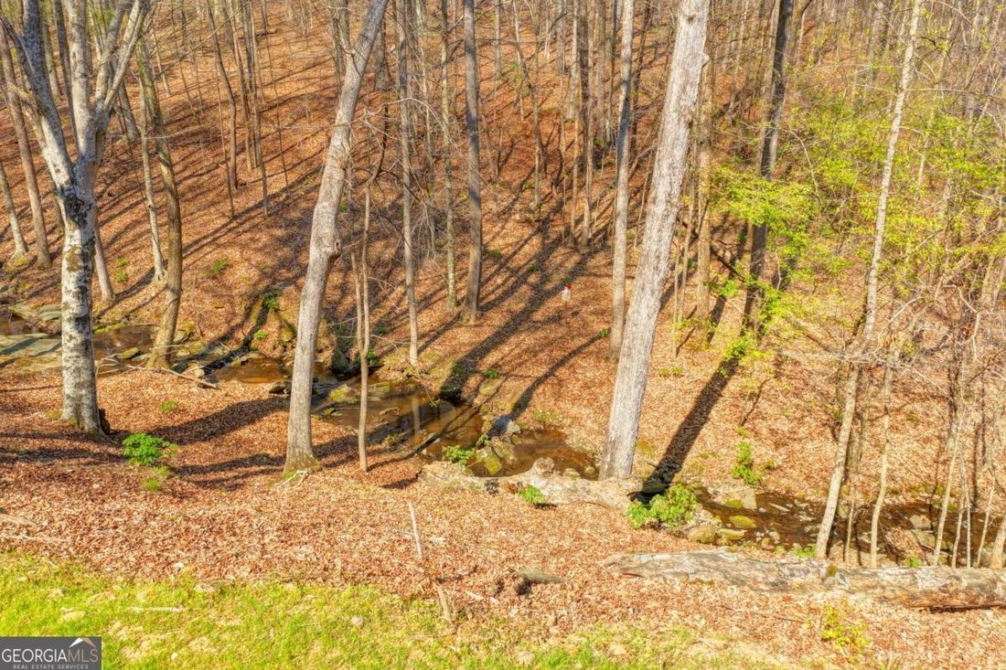 Land in Suwanee, Georgia, United States 4 - 18535551