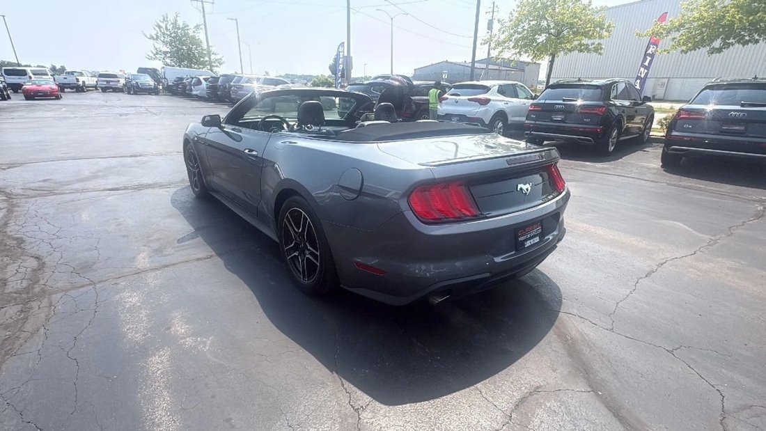 Cabriolet in Milwaukee, WI, United States 5 - 18536580