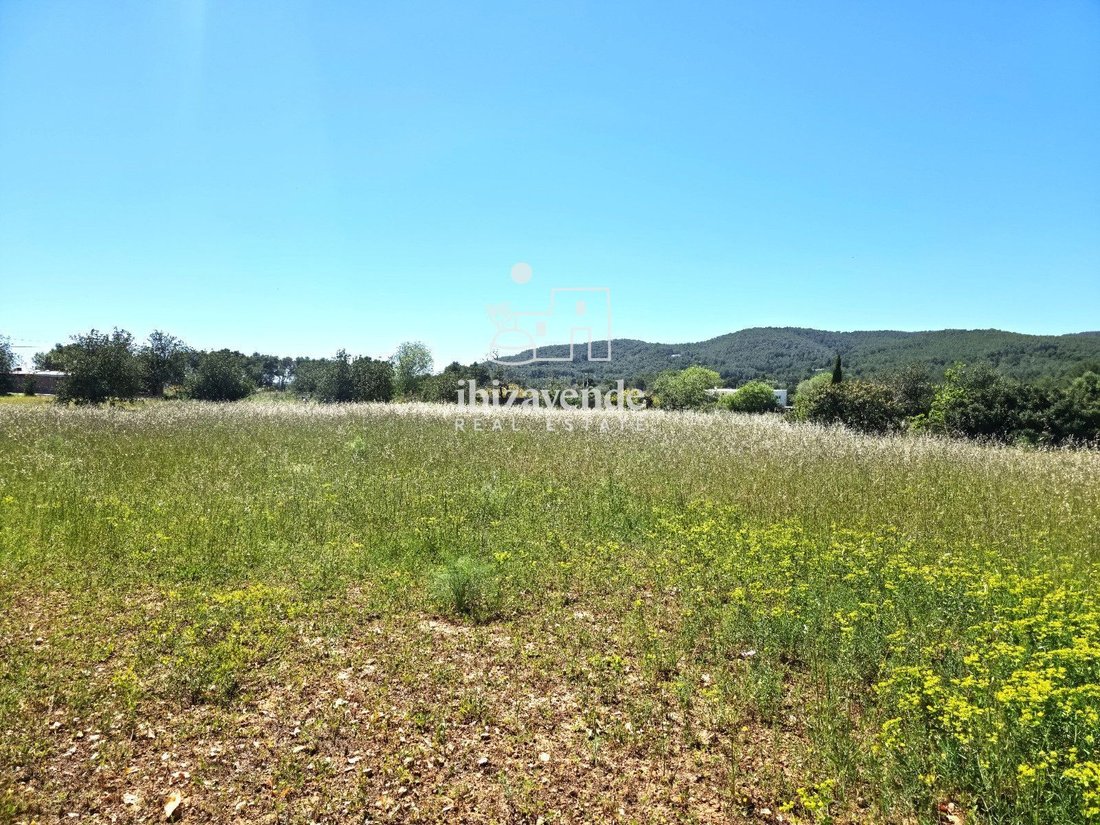 Finca in Sant Joan de Labritja, Balearic Islands, Spain 2 - 18532235