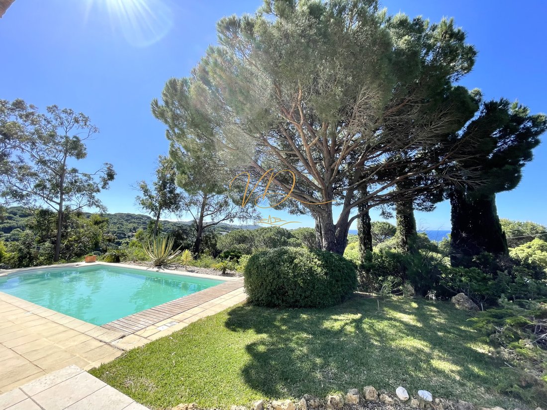 Castle in La Croix-Valmer, Provence-Alpes-Côte d'Azur, France 5 - 18535996