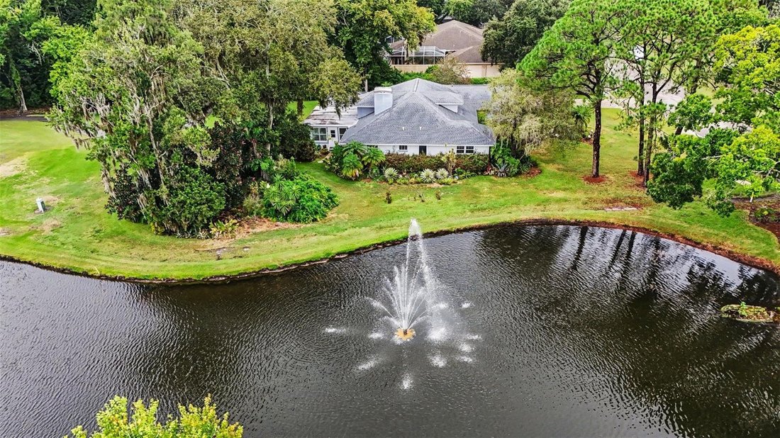 House in Tarpon Springs, Florida, United States 3 - 18532596