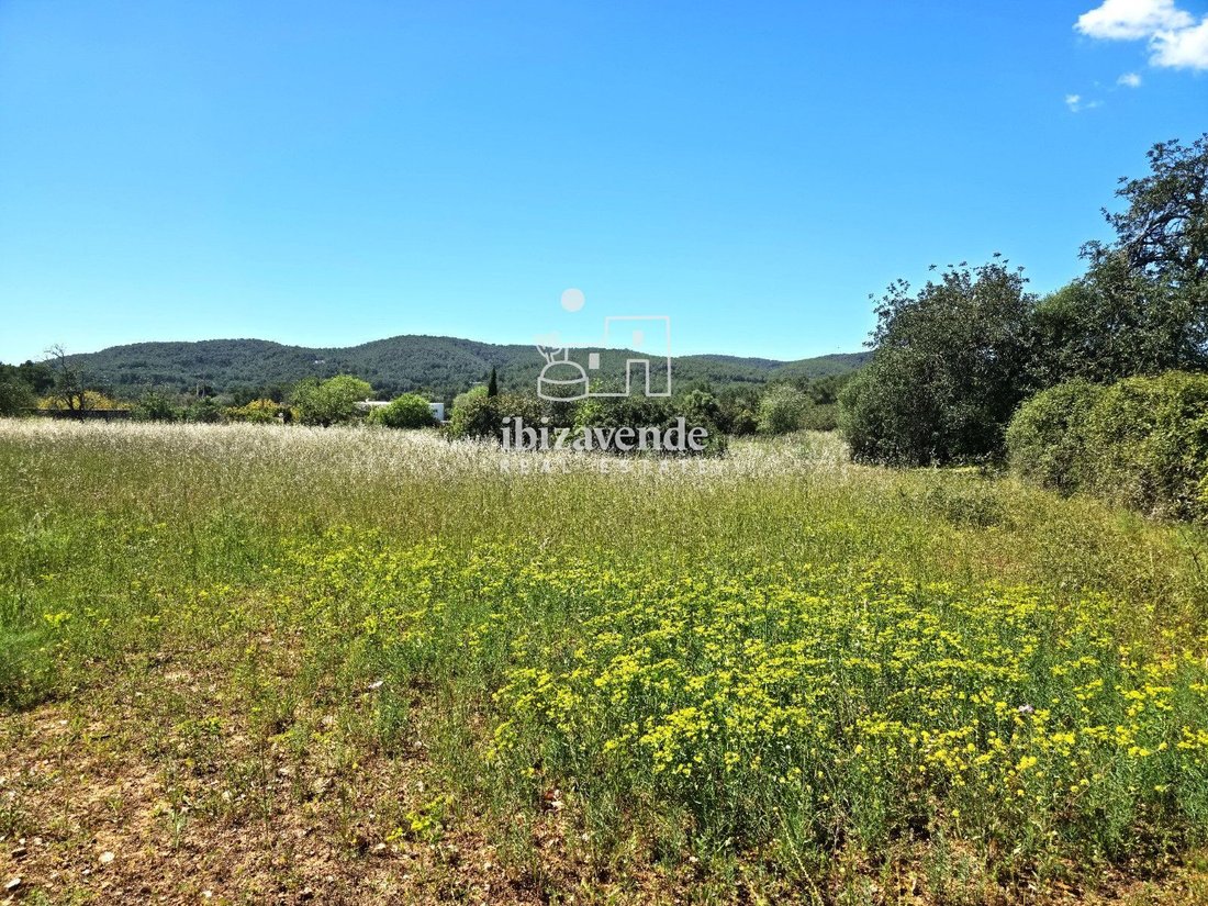 Finca in Sant Joan de Labritja, Balearic Islands, Spain 1 - 18532235