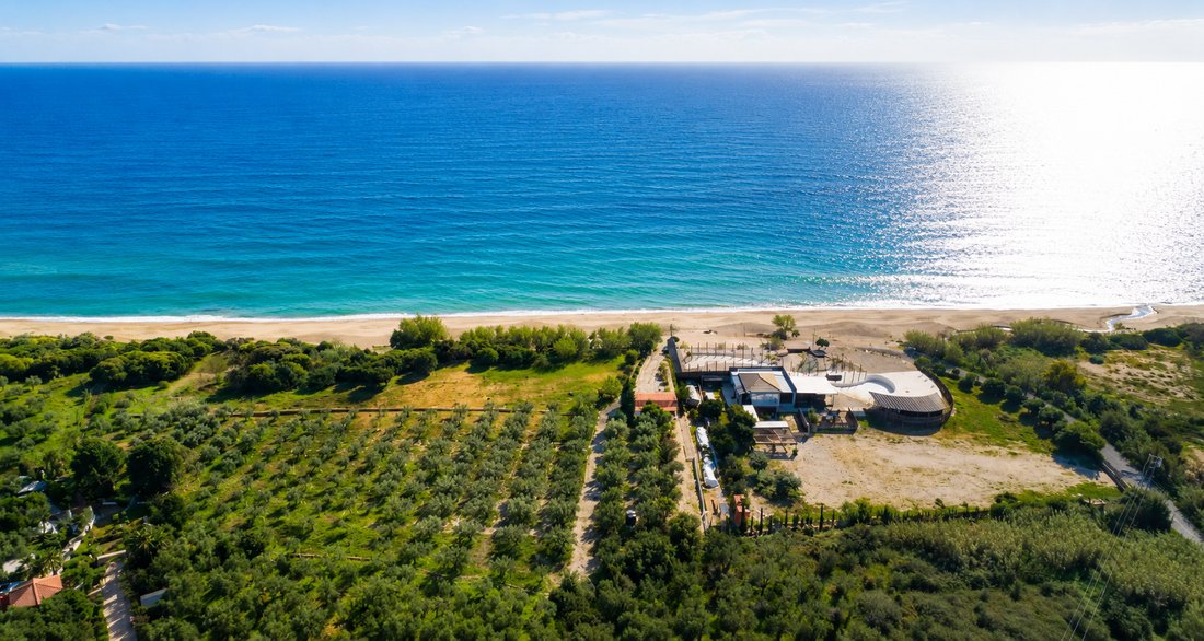 Land in Gargalianoi, Peloponnese, Western Greece and the Ionian, Greece 1 - 18532748