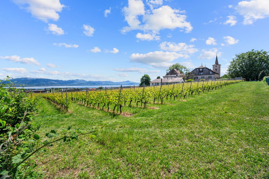Apartment in Etoy, Vaud, Switzerland 2 - 18532388