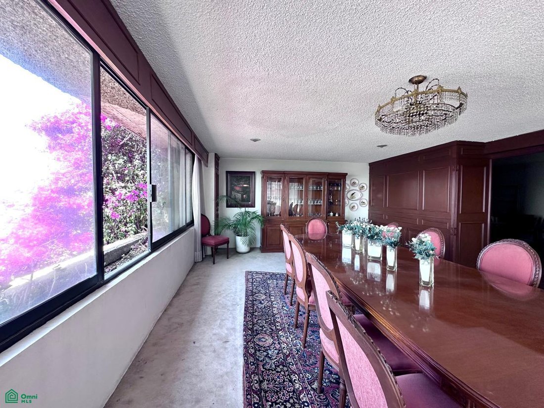 House in Mexico City, Mexico 5 - 18042322