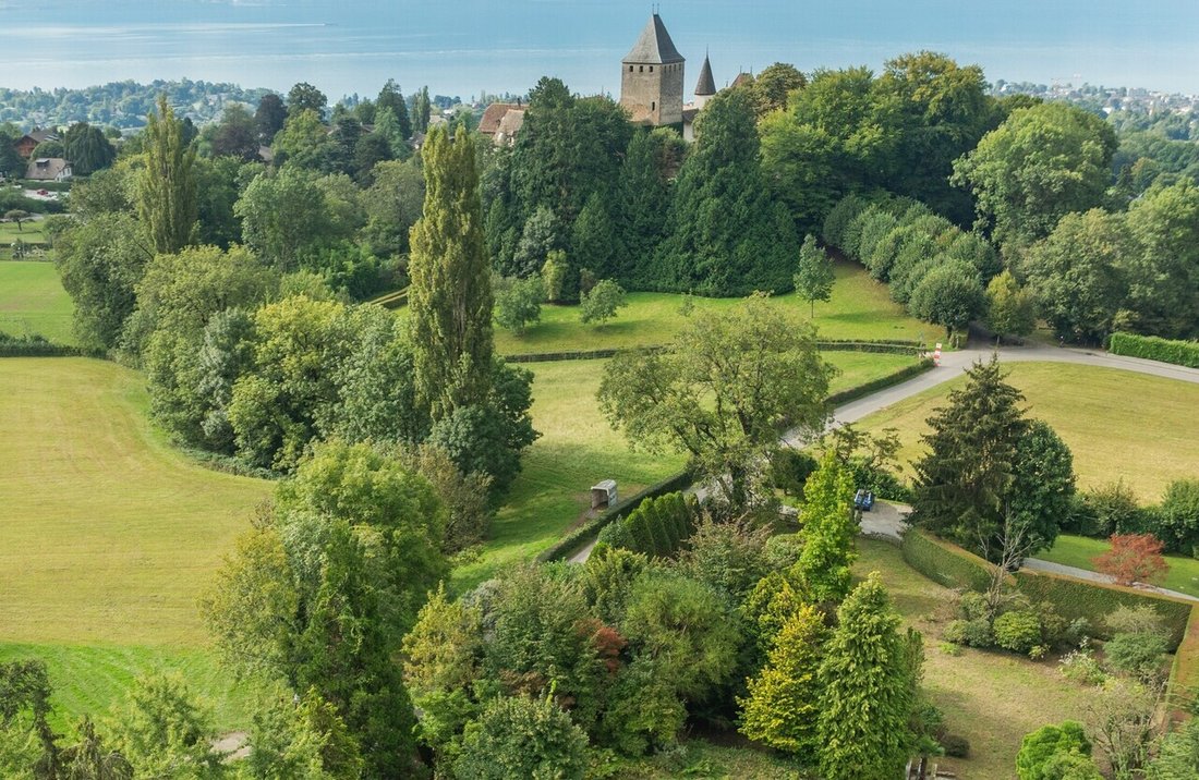 Land in Blonay - Saint-Légier, Waadt, Schweiz 1 - 18532273