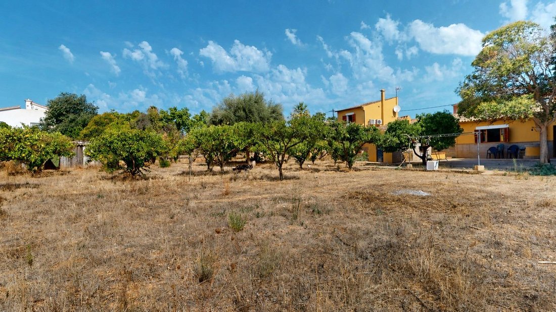 Country House in Palma, Balearic Islands, Spain 2 - 18535943