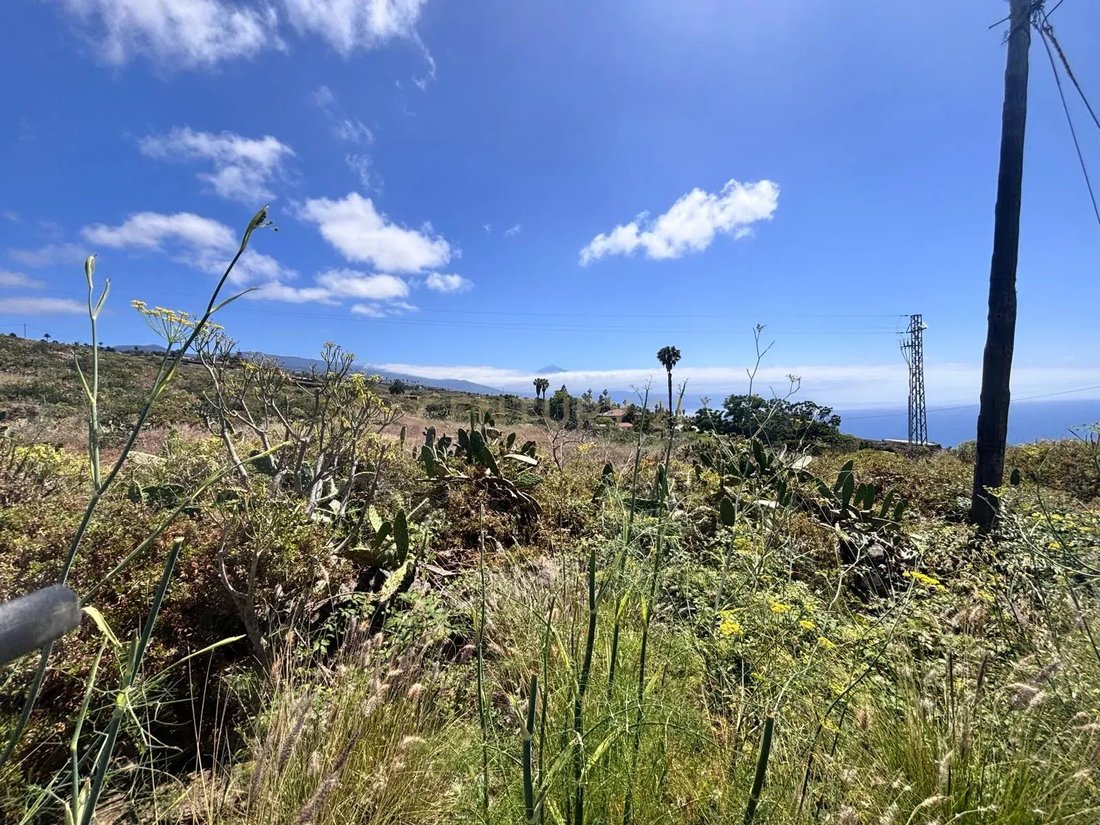 Terreno en Tacoronte, Canarias, España 1 - 18302564