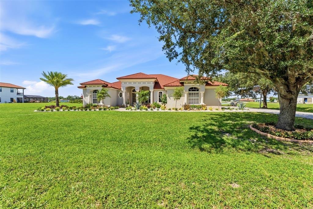 House in Land O' Lakes, Florida, United States 3 - 18533852