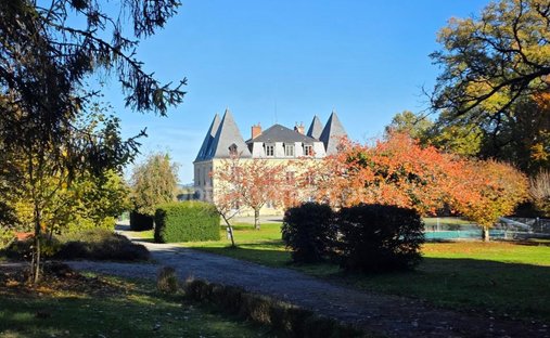 Castle in Châteauneuf-la-Foret, Nouvelle-Aquitaine, France 1