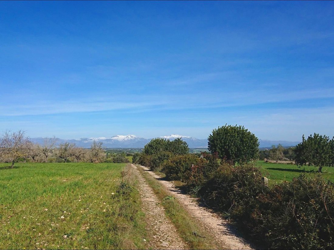 Country House in Algaida, Balearic Islands, Spain 4 - 18535925