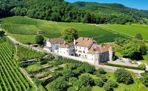 Schloss in Bursins, Waadt, Schweiz 1