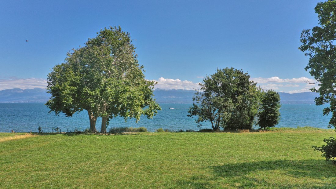 Terrain à Rolle, Vaud, Suisse 2 - 18532146
