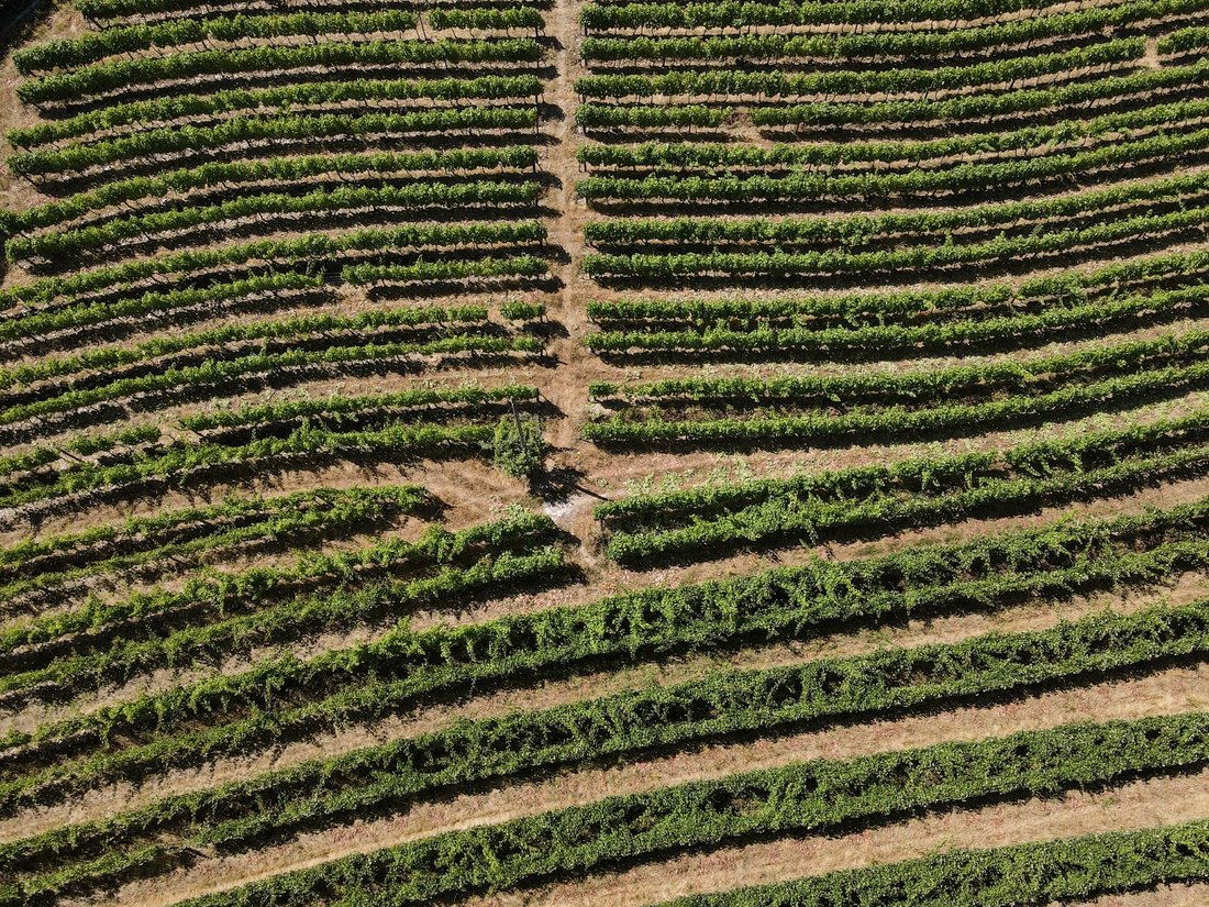 Finca in Folhadela, Vila Real, Portugal 2 - 18536297