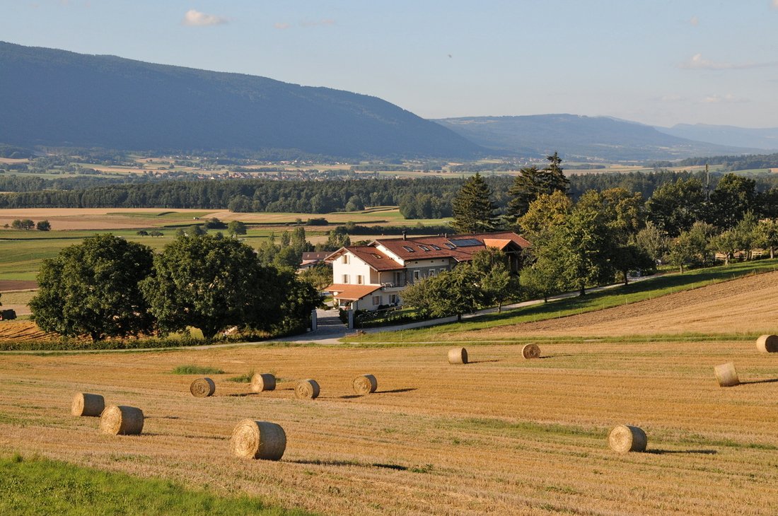 Haus in Essertines-sur-Rolle, Waadt, Schweiz 3 - 18532181