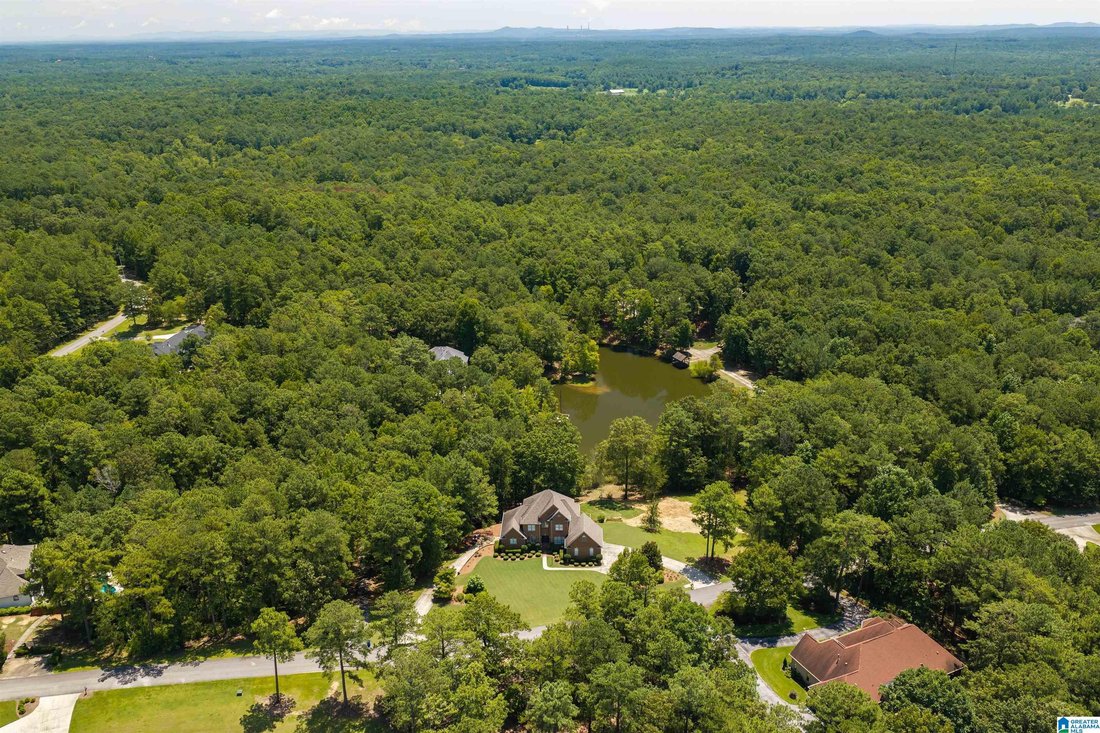 House in Chelsea, Alabama, United States 5 - 18532824