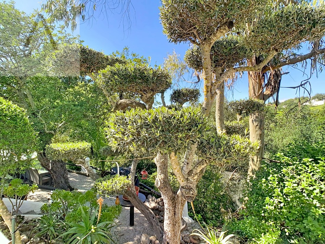 House in Pechao, Algarve, Portugal 5 - 18536433