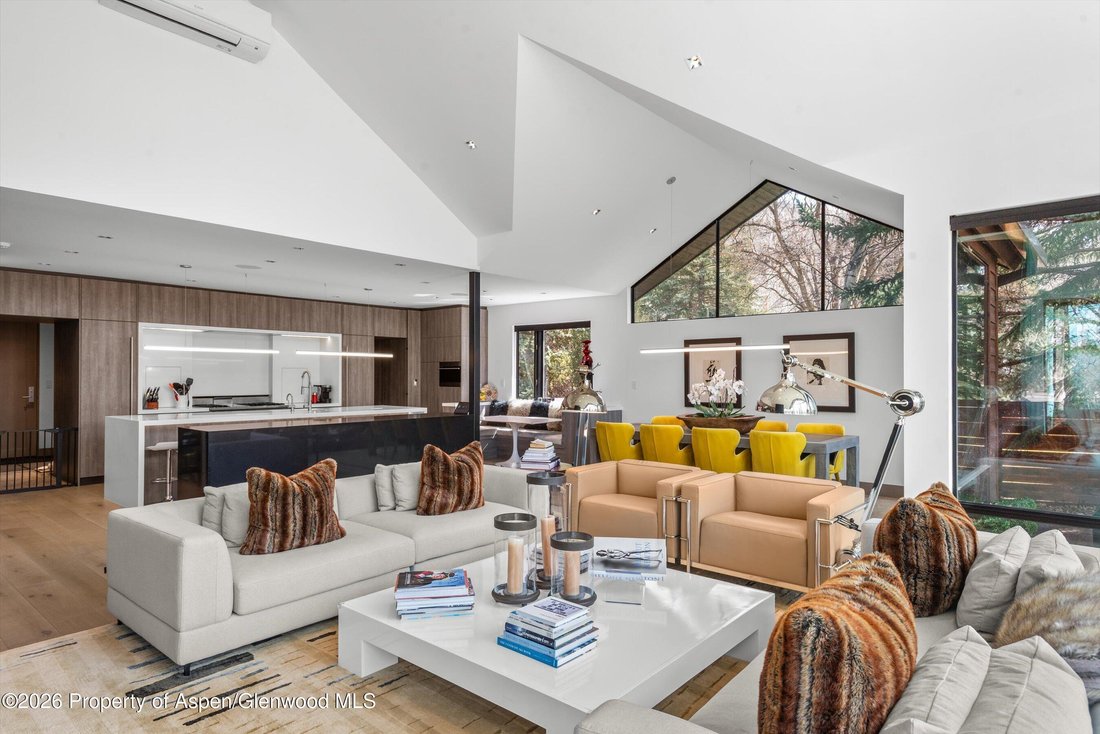 Apartment in Aspen, Colorado, United States 5 - 18534561