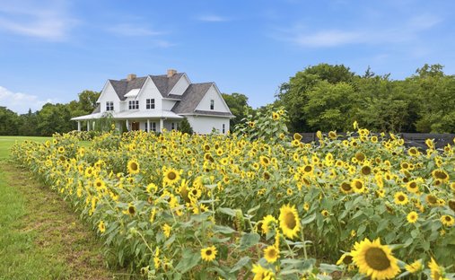 House in Christiana, Tennessee, United States 1