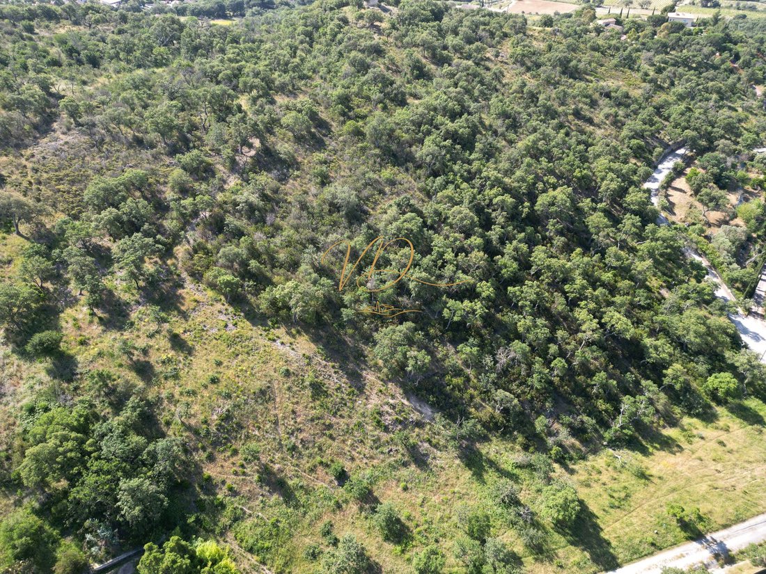 Land in Grimaud, Provence-Alpes-Côte d'Azur, France 5 - 18535984