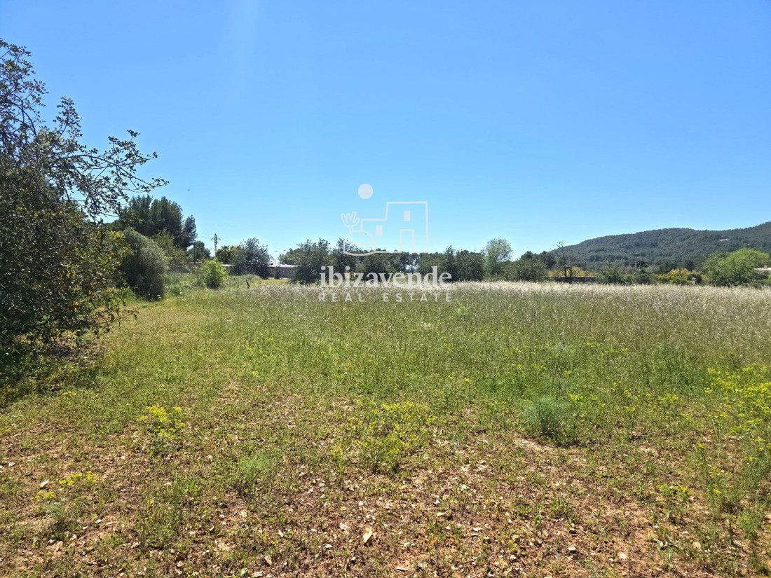 Finca in Sant Joan de Labritja, Balearic Islands, Spain 4 - 18532235