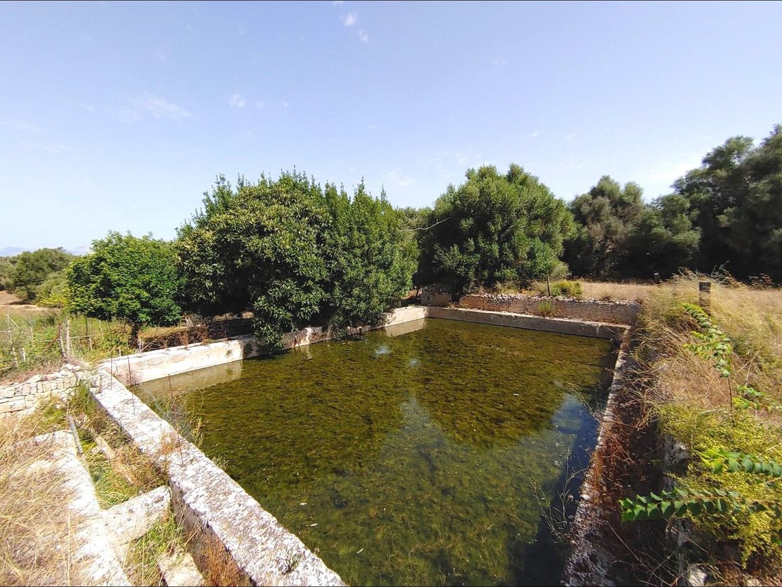 Country House in Algaida, Balearic Islands, Spain 5 - 18535925