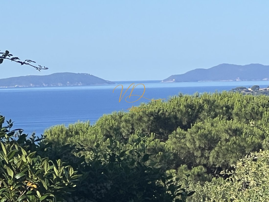 Castle in La Croix-Valmer, Provence-Alpes-Côte d'Azur, France 2 - 18536020