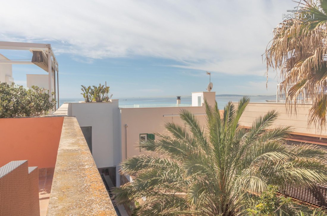 Chalet in Palma, Balearic Islands, Spain 3 - 18534674