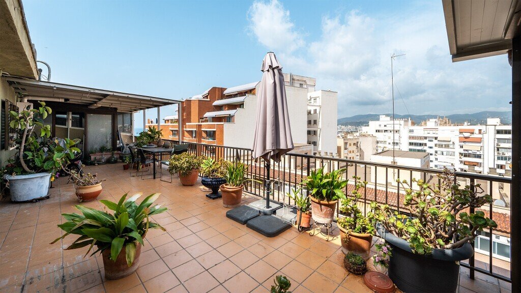 Apartment in Palma, Balearic Islands, Spain 2 - 18536135
