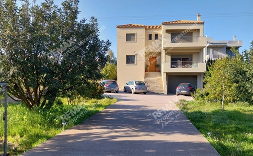 House in Markopoulo Mesogaias, Attica, Greece 1