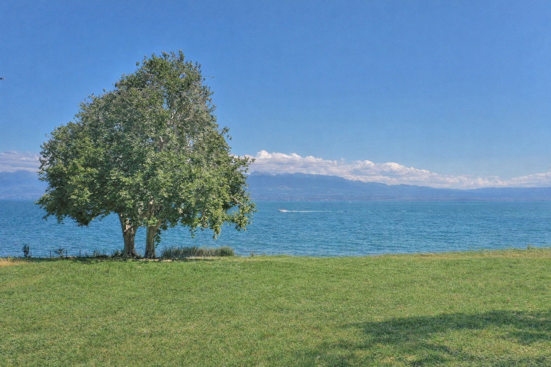 Haus in Rolle, Waadt, Schweiz 5 - 18532094